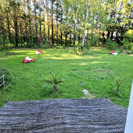 09 - Joli Avec Clim, 2 Lits, Un Lit Double Et Un Lit Simple, Equipe Pour 1, 2 Ou 3 Personnes Maximum, Vue Sur Parc Arbore, Parking Privatif Gratuit, Grand Fourgon Possible, Le Linge De Maison Est Fourni Lejlighed